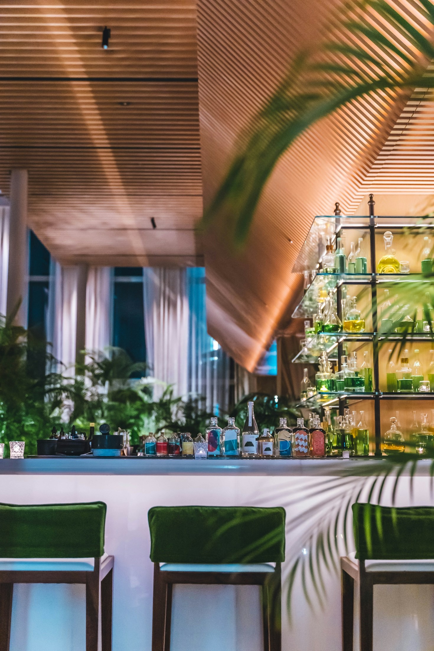 Summer Refreshment Guide For Tropical Parties